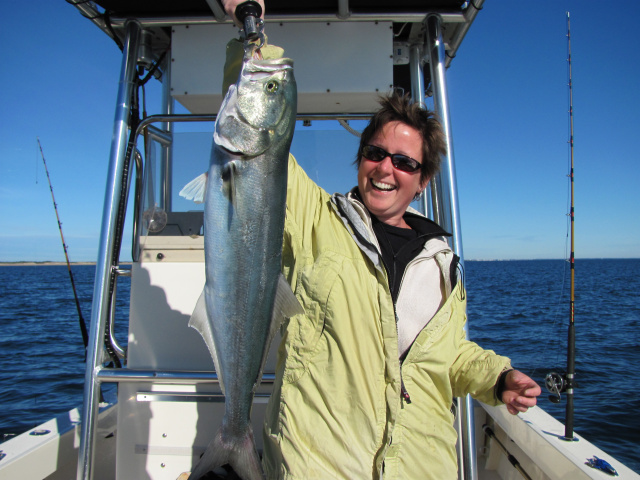 Newburyport bluefish