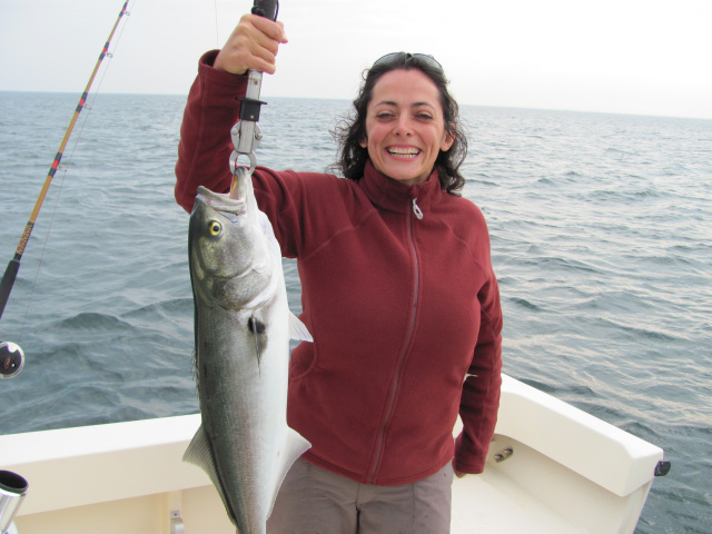 Rosario's bluefish