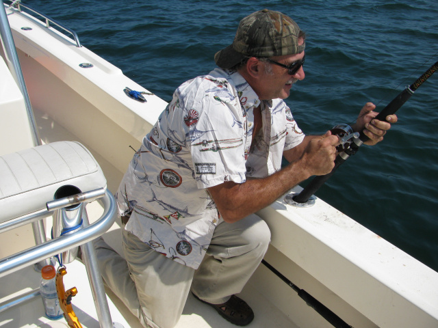 Bluefish on a rapala